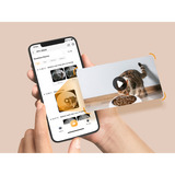 Imou PF1 Slimme voedseldispenser Wit, App controle, WiFi, voor de kat