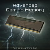 KLEVV BOLT X 16 GB DDR4-3200 (2x 8 GB) werkgeheugen Zwart, KD48GU880-32A160U, XMP 2.0