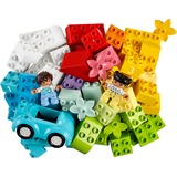 LEGO DUPLO - Opbergdoos Constructiespeelgoed 10913