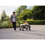 Coleman Ultimate Terrain Wagon Bolderkar handwagen Olijfgroen
