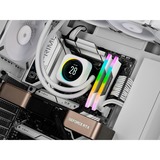 Corsair 32 GB DDR5-6200 Kit werkgeheugen Wit, CMH32GX5M2B6200C36W, Vengeance RGB, XMP 3.0