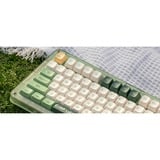 Iqunix ZX75 Camping Wireless Mechanical Keyboard Groen, US lay-out (QWERTY), IQUNIX Moonstone, 75%, RGB leds, Hot-swappable, Double-shot PBT, 2.4GHz | Bluetooth 5.1 | USB-C