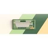 Iqunix ZX75 Camping Wireless Mechanical Keyboard Groen, US lay-out (QWERTY), IQUNIX Moonstone, 75%, RGB leds, Hot-swappable, Double-shot PBT, 2.4GHz | Bluetooth 5.1 | USB-C