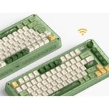 Iqunix ZX75 Camping Wireless Mechanical Keyboard, gaming toetsenbord Groen/oranje, US lay-out, IQUNIX Moonstone, RGB leds, 75%, Hot-swappable, Double-shot PBT, 2.4GHz | Bluetooth 5.1 | USB-C
