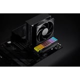 KLEVV 32 GB DDR5-6000 (2x 16 GB) Kit werkgeheugen Zwart, KD5AGUA80-60A300V, URBAN V RGB, XMP 3.0, EXPO