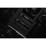 KLEVV URBANE V RGB 32 GB DDR5-6000 (2x 16 GB) werkgeheugen Zwart, KD5AGUA80-60A300V, XMP 3.0, EXPO