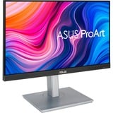 ASUS ProArt Display PA247CV 24" monitor Zwart/zilver, HDMI, DisplayPort, Sound