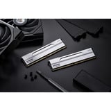 KLEVV 64 GB DDR5-6000 (2x 32 GB) Kit werkgeheugen Wit, KD5BGUA80-60A300I, BOLT V, XMP 3.0, EXPO