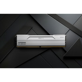 KLEVV BOLT V 64 GB DDR5-6000 (2x 32 GB) werkgeheugen Wit, KD5BGUA80-60A300I, XMP 3.0, EXPO