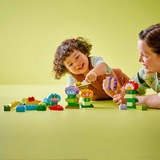 LEGO DUPLO - Creatieve bloementuin Constructiespeelgoed 10444