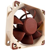 Noctua NF-A6x25 FLX case fan bruin/wit, 3-Pin-aansluiting, 4-Pin-adapter