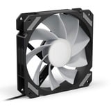 Sharkoon SHARK Mirror RGB PWM Reverse case fan Zwart, 120 x 120 x 25 mm