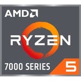 AMD  socket AM5 processor Tray