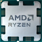 AMD  socket AM5 processor Tray