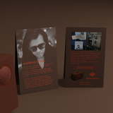 Audio Pro T3+ Bluetooth luidspreker Andreas Stone - Limited edition Donkerbruin, Bluetooth 4.0