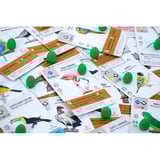 999 Games Wingspan: Midden- en Zuid-Amerika Bordspel Uitbreiding, Nederlands, 1 - 5 spelers, 40 - 70 minuten, Vanaf 10 jaar