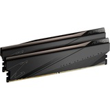 GIGABYTE AORUS 32 GB DDR5-5200 Kit werkgeheugen Zwart, GP-ARS32G52D5, XMP 3.0
