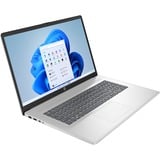 HP 17-cp2051nd (8Y7S2EA) 17.3" laptop Zilver | Ryzen 5 7520U | Radeon 610M | 8 GB | 512 GB SSD