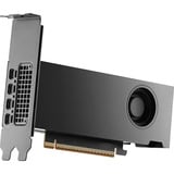 NVIDIA® RTX PRO 2000 Blackwell grafische kaart GDDR7 ECC, 4x Mini-DisplayPort, Bulk