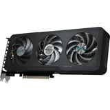 GIGABYTE  grafische kaart 