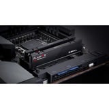 G.Skill Flare X5 32 GB DDR5-5600 (2x 16 GB) werkgeheugen Zwart, F5-5600J3636C16GX2-FX5, EXPO