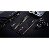 G.Skill Flare X5 32 GB DDR5-5600 (2x 16 GB) werkgeheugen Zwart, F5-5600J3636C16GX2-FX5, EXPO