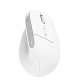 Trust Bayo+ - Ergonomische Muis Verticaal Draadloos  Wit, 800-2400 Dpi, 2,4GHz, 2x Bluetooth