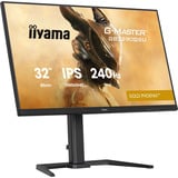 iiyama G-Master Gold Phoenix GB3290QSU-B1 31.5" gaming monitor Zwart (mat), 240Hz, HDMI, DisplayPort, USB-C, Audio, AMD FreeSync