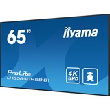 iiyama ProLite LH6565UHSB-B1 64.5" 4K Ultra HD Public Display Zwart, HDMI, DisplayPort, LAN, WiFi, Audio, USB, Android