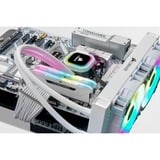 Corsair 32 GB DDR4-3200 Kit werkgeheugen Wit, CMH32GX4M2E3200C16W, Vengeance RGB PRO SL, XMP 2.0