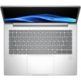 HP ProBook 4 G1a AI PC Wolf Pro Security Edition (B9YJ1ET) 14"  Copilot+ laptop Zilver | R7 250 | Radeon 780M | 16 GB | 512 GB SSD