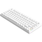 HelloGanss HS75T White RGB mechanisch toetsenbord Wit, US lay-out (QWERTY), Gateron Yellow, 75%, RGB leds, PBT Doubleshot keycaps, hot swap, 2,4 GHz | Bluetooth | USB-C