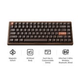 Keychron K2HE All-Wood Special Edition mechanisch toetsenbord Houtkleur, US lay-out (QWERTY), Gateron Double-Rail Magnetic Nebula, 75%, Gateron Double-Rail Magnetic, OSA PBT double-shot, hot swap, Bluetooth 5.2 | USB-C