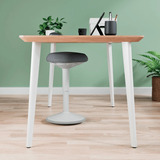 Leitz Ergo Wiebel Zitkruk met Gasveer (47 - 64 cm) stoel Grijs