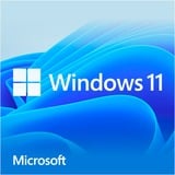 Microsoft Windows 11 Home (Engelstalig) Systembuilder software Engels