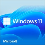Microsoft Windows 11 Home software Engels