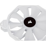 Corsair iCUE SP140 RGB ELITE Performance + Lighting Node CORE case fan Wit, 2 stuks, 4-pins PWM fan-connector