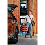 EINHELL E-Case S-F gereedschapskist Zwart/rood