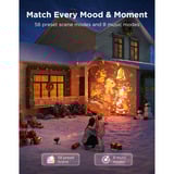 Govee Outdoor Decoration Projector Light verlichting Zwart, 2,4GHz-wifi + Bluetooth