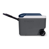 Igloo Maxcold 40R, 38 liter koelbox Grijs