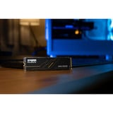 KLEVV CRAS C925G 500 GB  SSD Zwart, K500GM2SP0-C9T, PCIe Gen 4.0 x4, NVMe 2.0