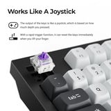 Keychron Q5 HE QMK Wireless Custom Keyboard Zwart, US lay-out (QWERTY), Gateron Double-Rail Magnetic Nebula, 96%, RGB leds, OSA double-shot PBT, hot swap, Knob, 2.4GHz | Bluetooth 5.1 | USB-C