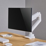 SilverStone ARM14 monitorarm Wit