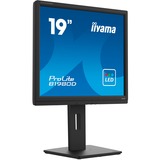 iiyama Prolite B1980D-B5 19" monitor Zwart, VGA, DVI