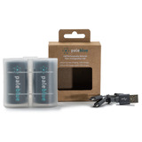 Paleblue D (USB-C) Oplaadbare batterij, 2 stuks Zwart