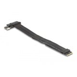 DeLOCK M.2 Key M to U.2 SFF-8639 NVMe Adapter controller 20cm