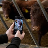 JCB Toughphone E10 Zwart, 6.6" HD, 8 GB RAM, 64 GB ROM