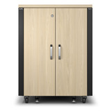 APC NetShelter AR4017IA, 17U server rack Houtkleur/zwart, 75(b) x 100,5(h) x 113,04(d) cm, geluiddicht