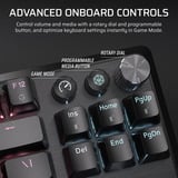 Corsair K70 CORE TKL WIRELESS RGB mechanisch gaming toetsenbord Zwart, US lay-out (QWERTY), Corsair MLX Red v2, 80% (TKL)	, RGB, ABS Double shot, Hot-swap, 2,4 GHz / Bluetooth / USB