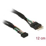 DeLOCK DeLOCK KB USB 2.0 Bu10Pin-St10Pi bk 0,1m kabel Zwart, 12 cm